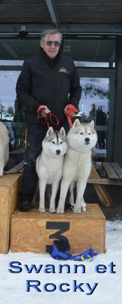 des rèves polaires - La course du Puymarod en 4 chiens