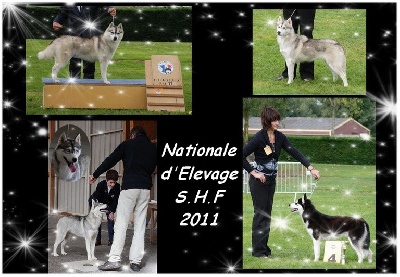 des rèves polaires - Résultat de la Nationale d'Elevage 2011