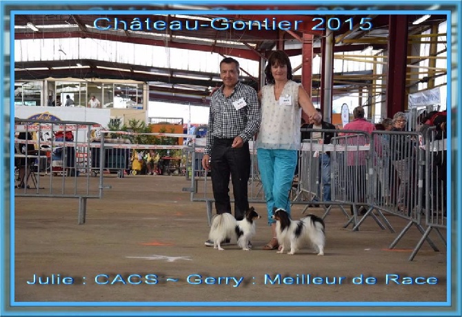 des rèves polaires - Exposition Canine de Château-Gontier CACS
