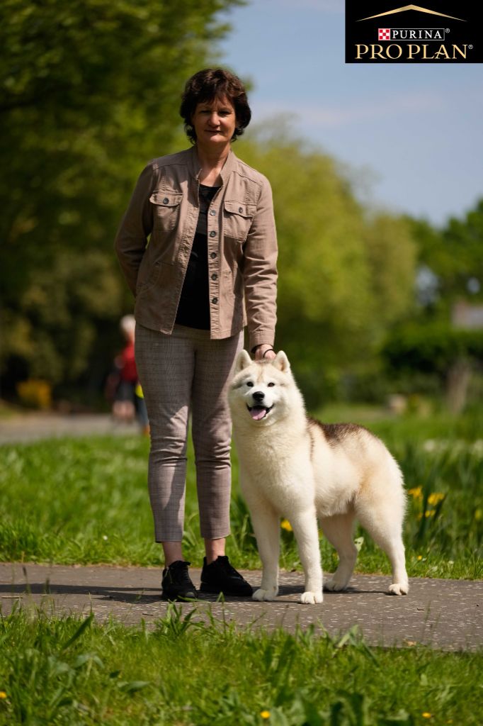 des rèves polaires - Exposition Canine de St Brieuc