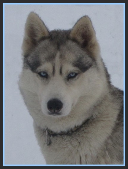 Coya de Politeiakhan