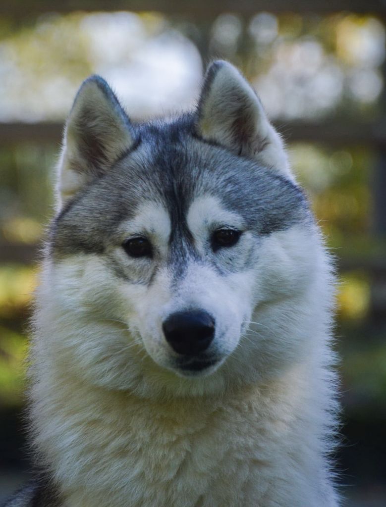 Unity Of City Dream's