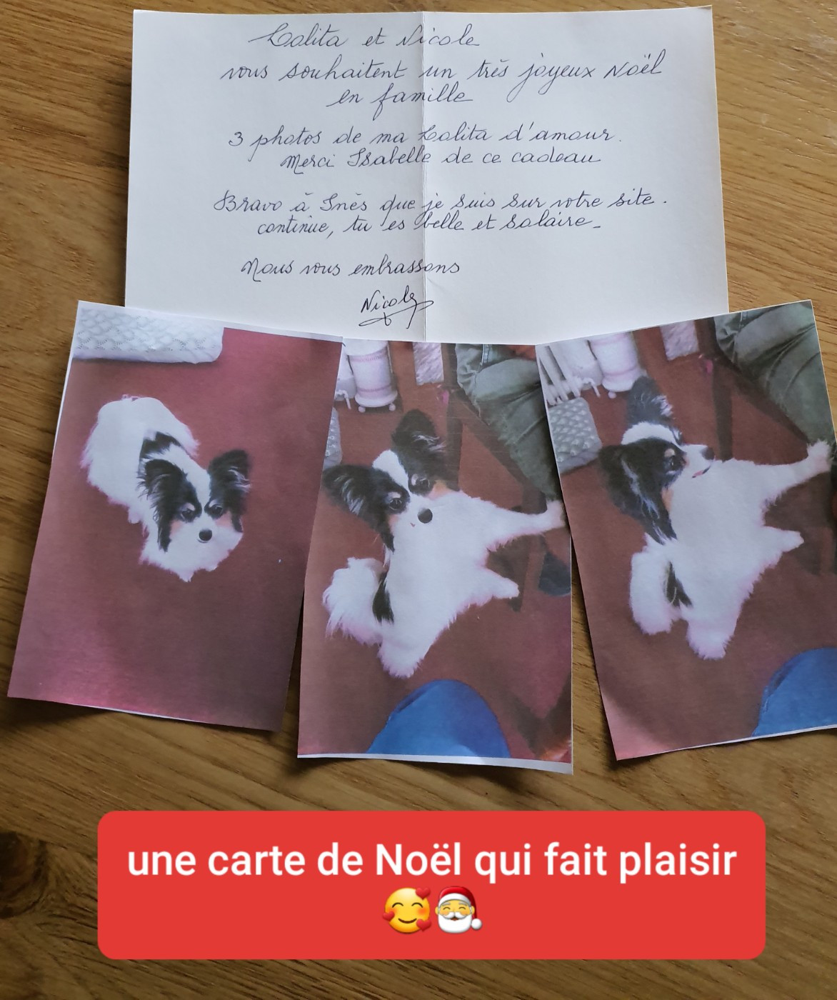 des rèves polaires - merci à Nicole pour sa gentille carte de Noël