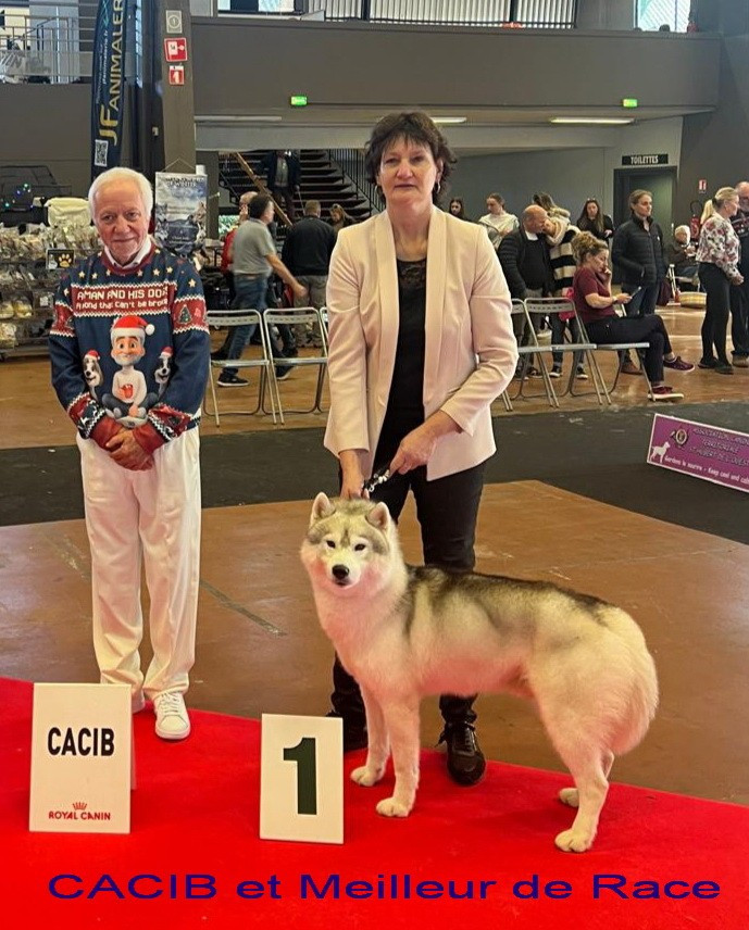 des rèves polaires - ROCKY GAGNE L'EXPO DE NANTES