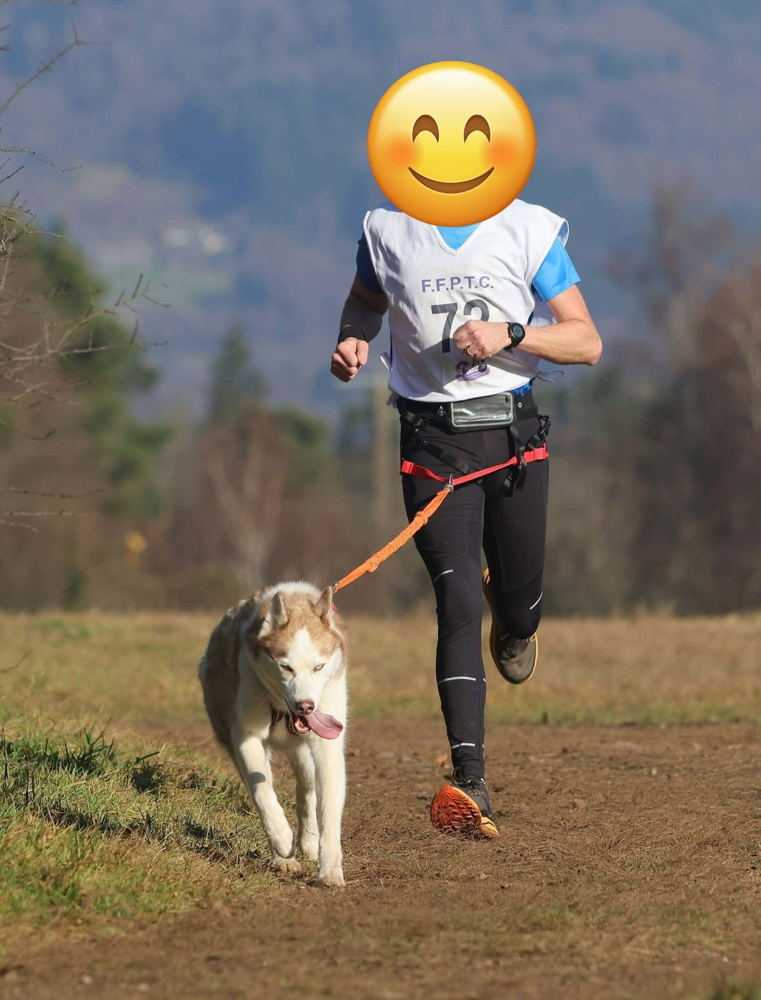 Uber Champion de France en cani-cross