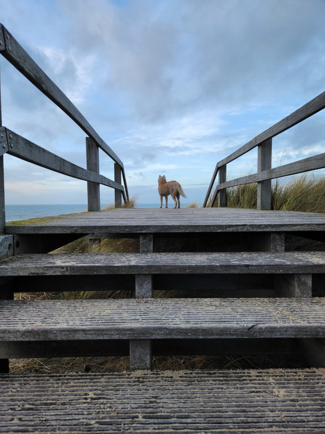 Des nouvelles de VLaska