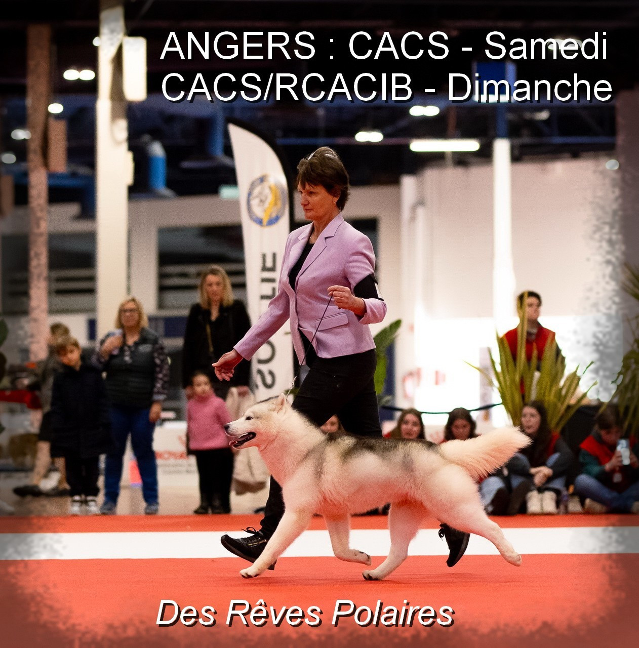 Nous serons à l'expo d'Angers sur les 2 jours