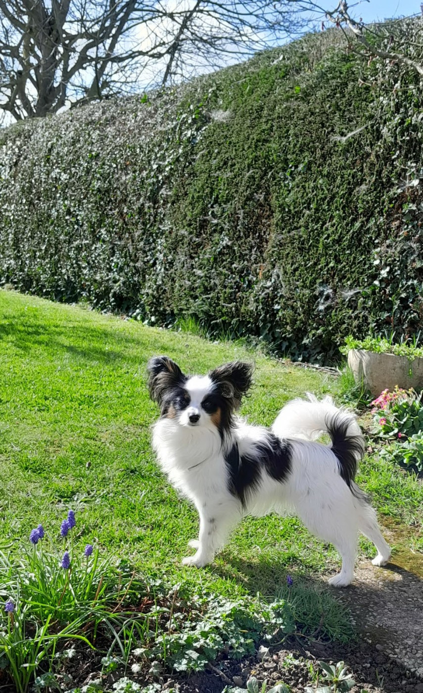 des rèves polaires - Argus à 10 mois