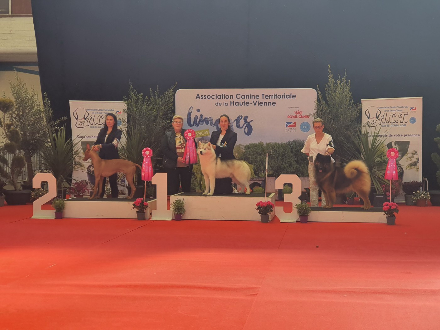 ROCKY GAGNE AUSSI L'EXPO DE LIMOGES SUR LES 2 JOURS