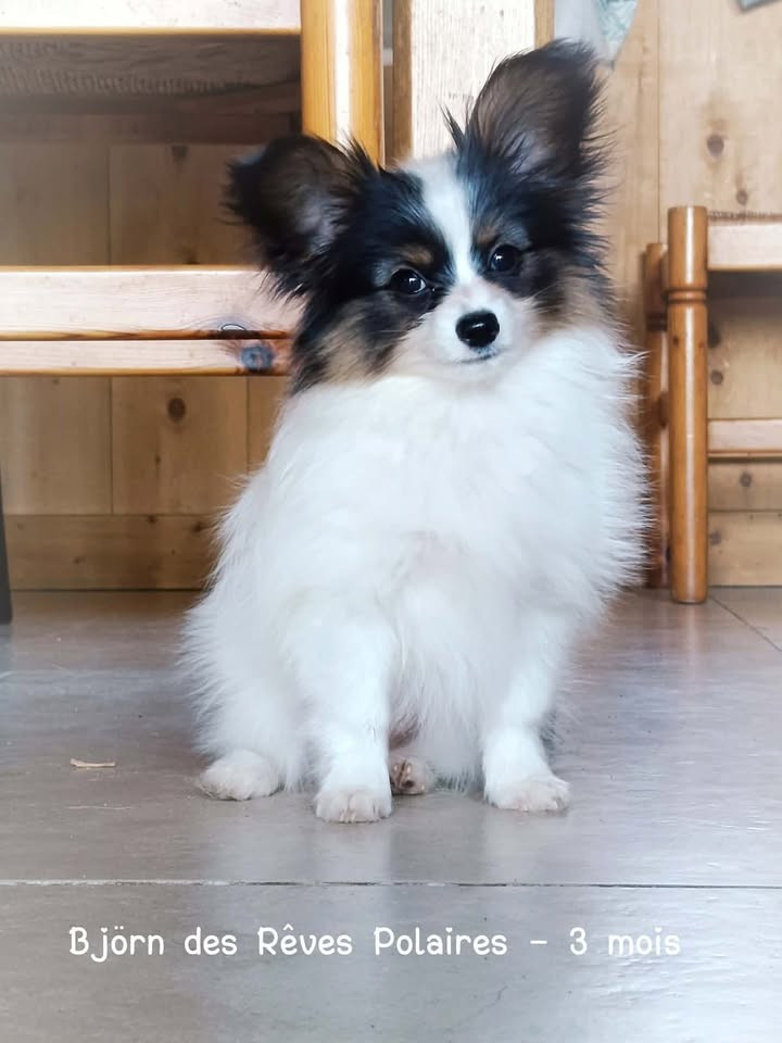 Björn à 3 mois
