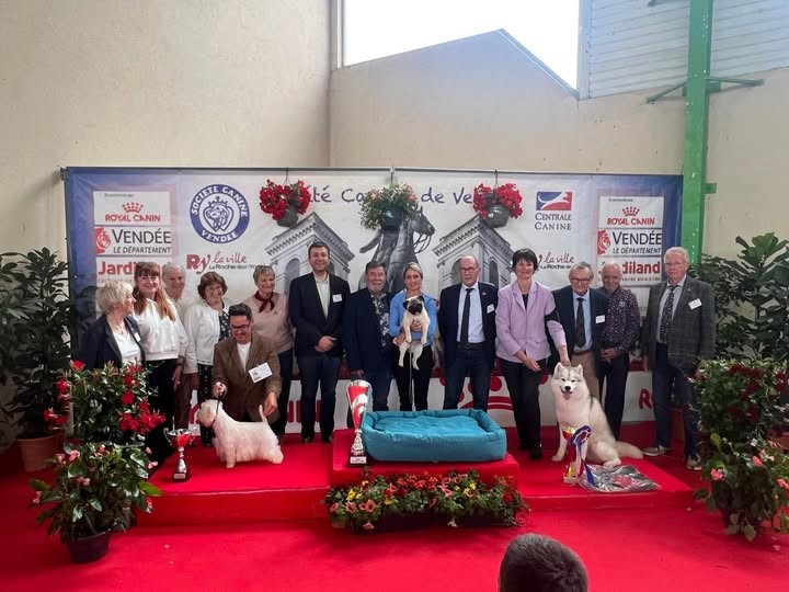De très belles victoires à l'exposition Nationale de La Roche sur Yon