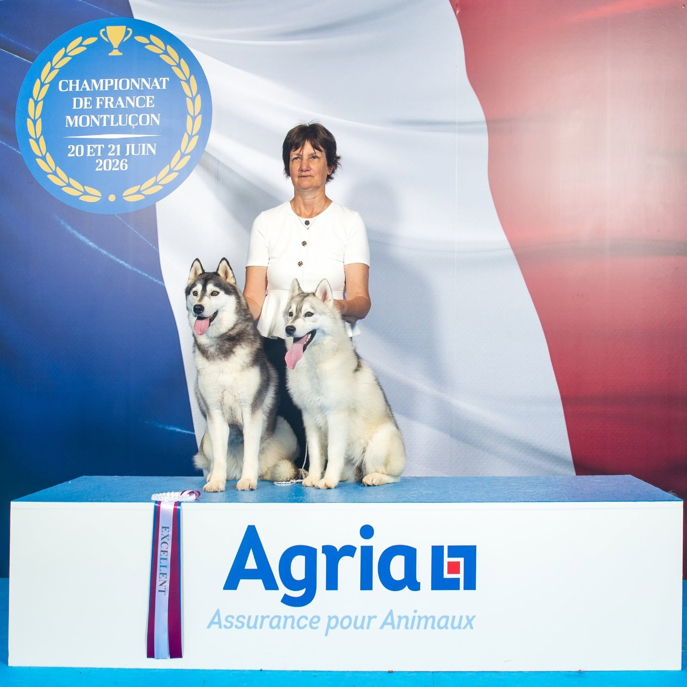 des rèves polaires - CHAMPIONNAT DE FRANCE avec Ully et Artica