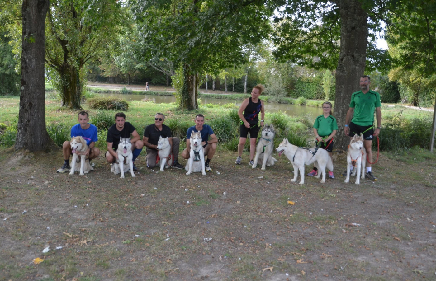 le cani-cross avec plusieurs chiens de l'élevage
