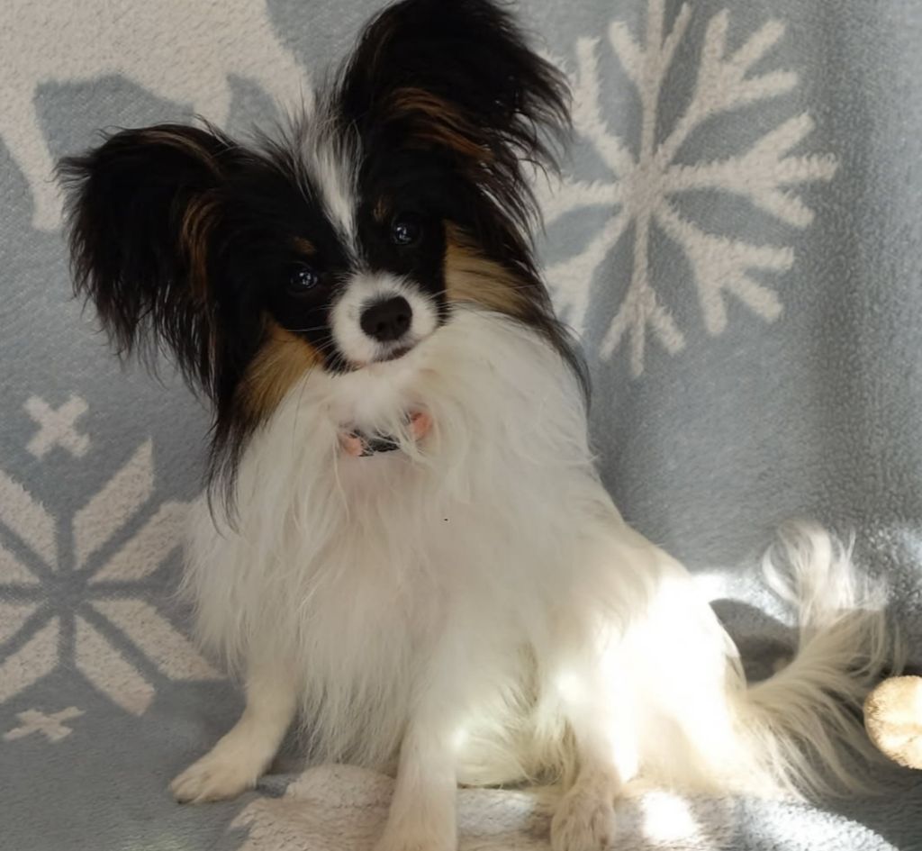 La belle Vika à 5 mois