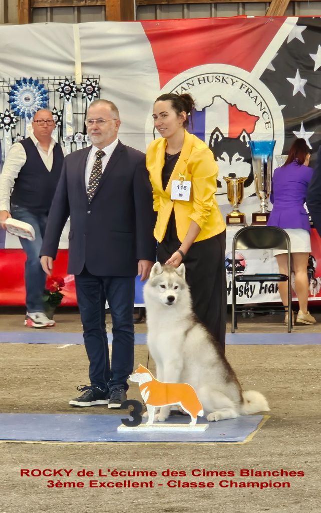 des rèves polaires - Résultat de la Nationale d'élevage du Sibérien Husky de France