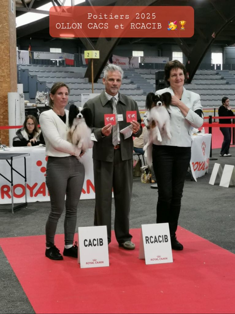 des rèves polaires - Exposition Canine de Poitiers