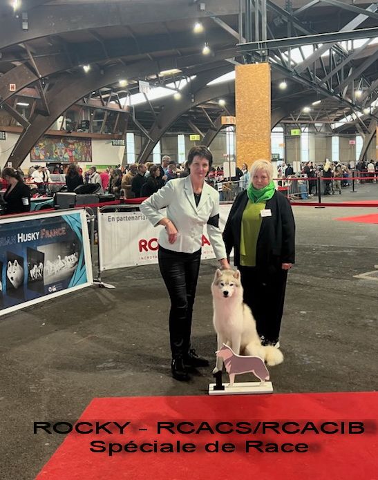 Exposition Canine de Poitiers
